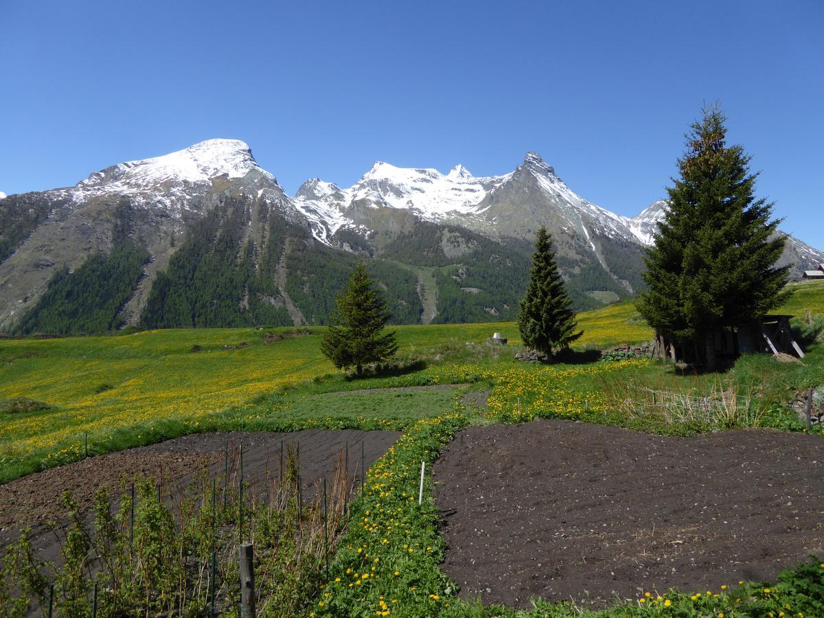 Hotel Locanda Grauson Cogne Buitenkant foto