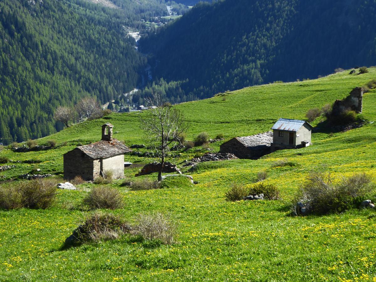 Hotel Locanda Grauson Cogne Buitenkant foto