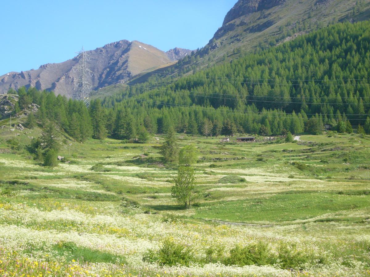 Hotel Locanda Grauson Cogne Buitenkant foto