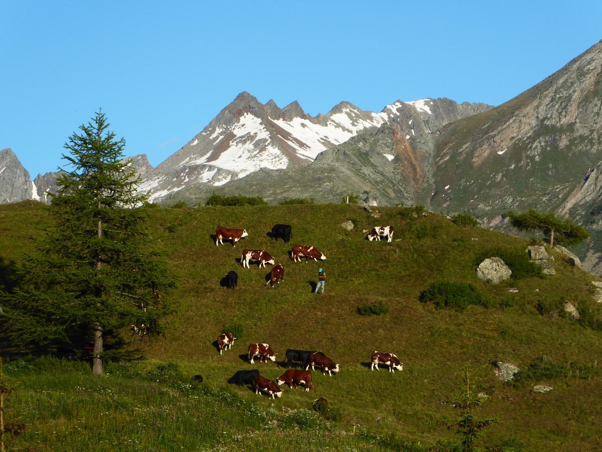 Hotel Locanda Grauson Cogne Buitenkant foto